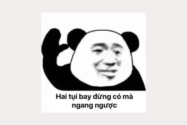 Sammlung von 100 lustigen, lustigen und einzigartigen Panda-Memes - Cool Mate