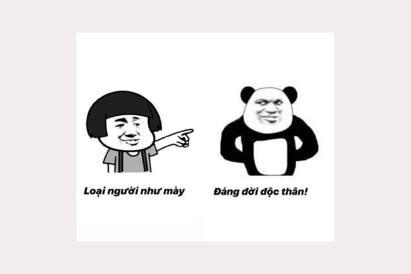 meme panda tức giận