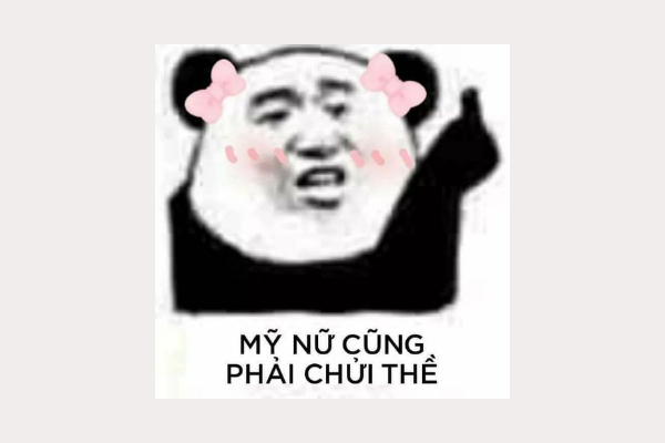 meme gấu trúc bựa