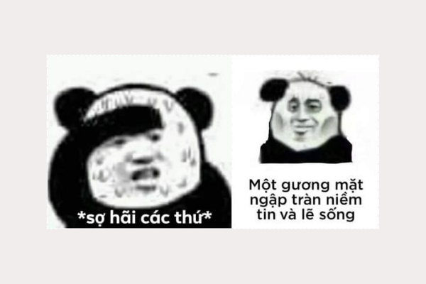 Meme gấu trúc sợ hãi