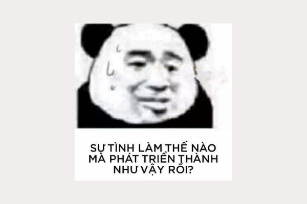 meme panda nổi tiếng