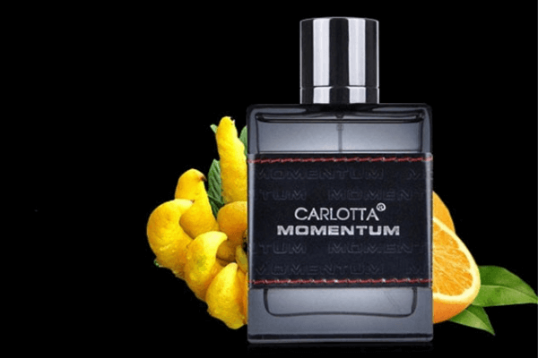 Nước hoa nam cao cấp nội địa Trung Carlotta Momentum Pour Homme