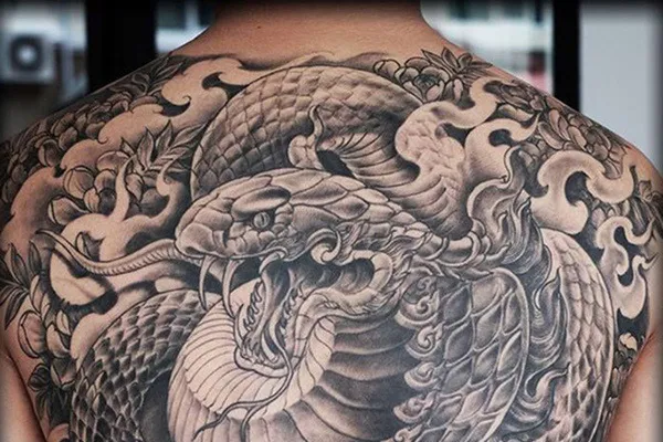 99+ Hình Xăm Rắn Hoá Rồng Tatoo - Ý Nghĩa Xăm Rắn Hoá Rồng Ít Ai Biết -  Coolmate