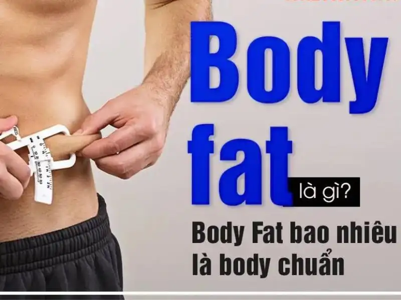 body fat là gì 