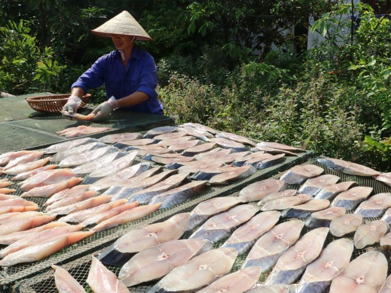 Cá thu câu một nắng