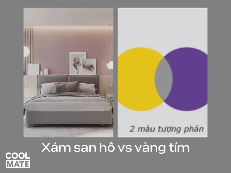 xám san hô vs vàng tím