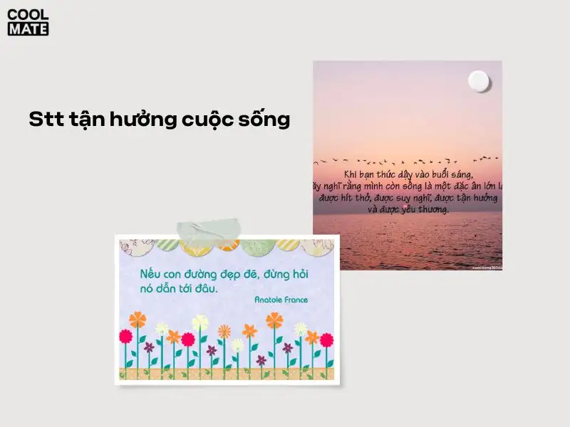 stt-cuoc-song-an-nhien-tu-tai-3127