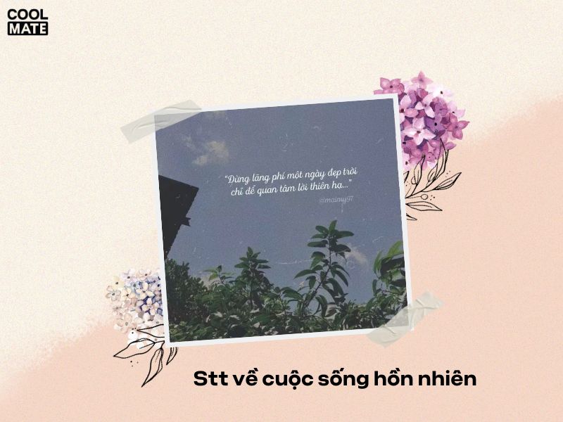 stt-cuoc-song-an-nhien-tu-tai-3127