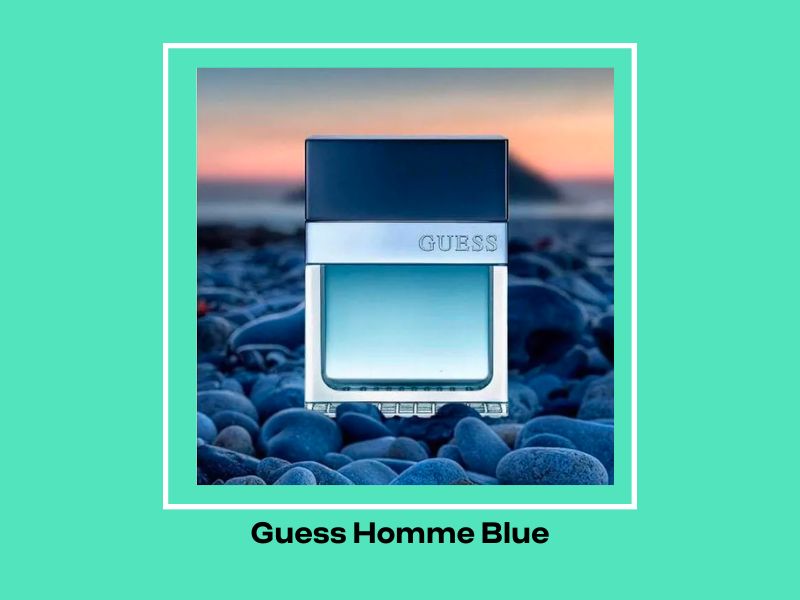 Guess Homme Blue