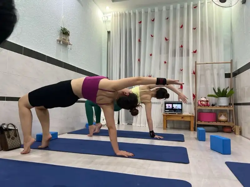 Phòng tập yoga Nấm yoga