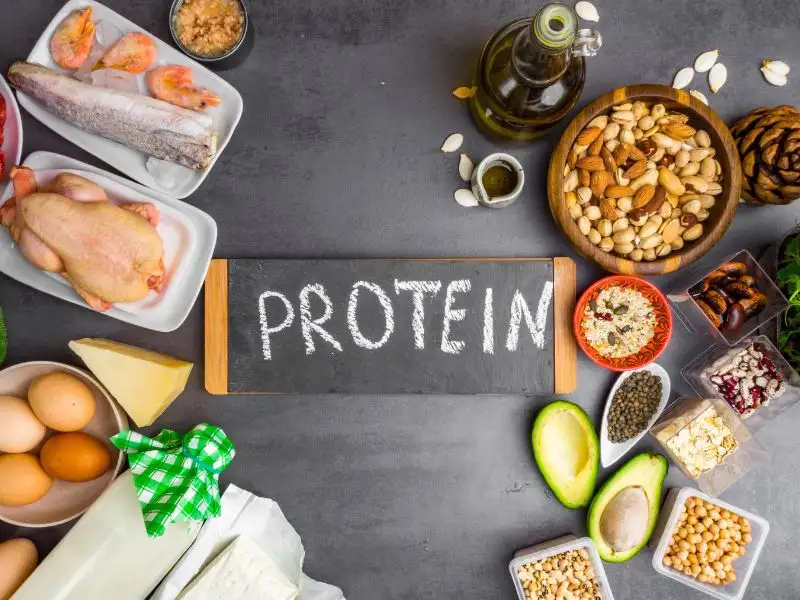 Tăng cường protein, giảm tinh bột và chất béo xấu