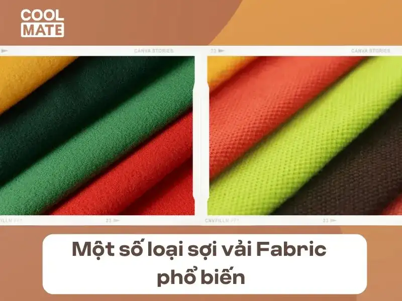 Hiện nay trong ngành công nghiệp dệt may có rất nhiều loại chất liệu vải được sử dụng với những mục đích riêng tuy nhiên vải Fabric là phổ biến hơn cả 