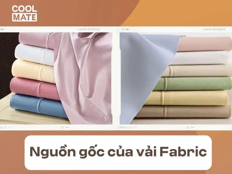 Các loại sợi Fabric có nguồn gốc rất đa dạng từ: thực vật, lông của động vật, kén tằm hay dầu thô