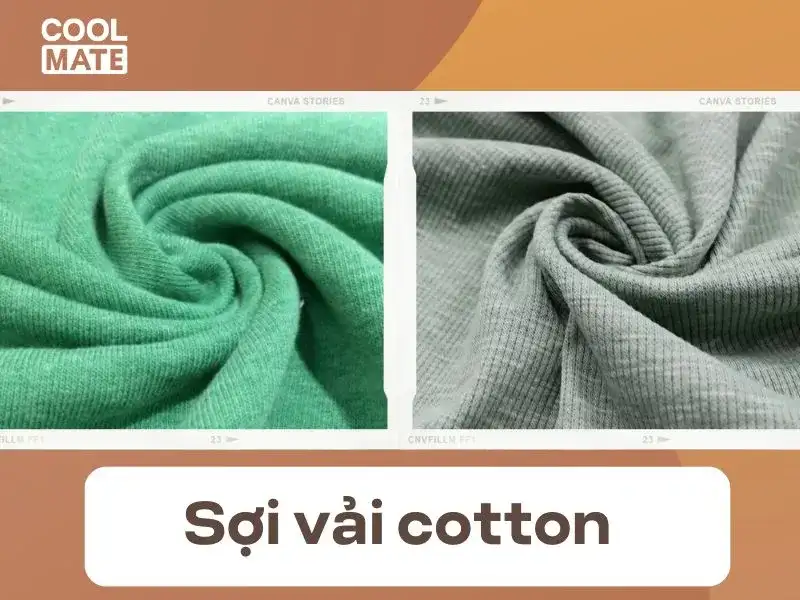 Sợi cotton có khả năng thấm hút mồ hôi cực tốt, thậm chí loại sợi này có khả năng thấm hút mồ hôi lên đến 65% so với trọng lượng của nó