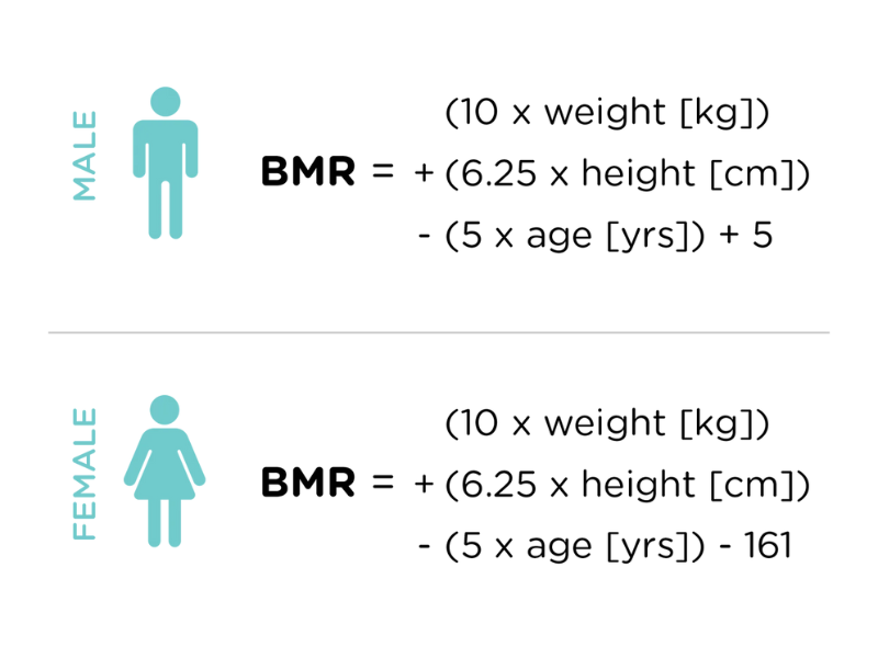 Cách tính chỉ số BMR