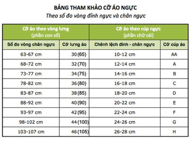 Bảng tham khảo cỡ áo ngực