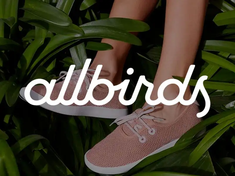 Thương hiệu thời trang bền vững Allbirds