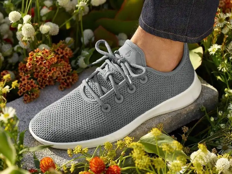 Kiểu giày bảo vệ môi trường của Allbirds