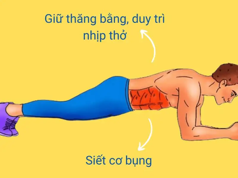 Plank giúp tăng cường trao đổi chất