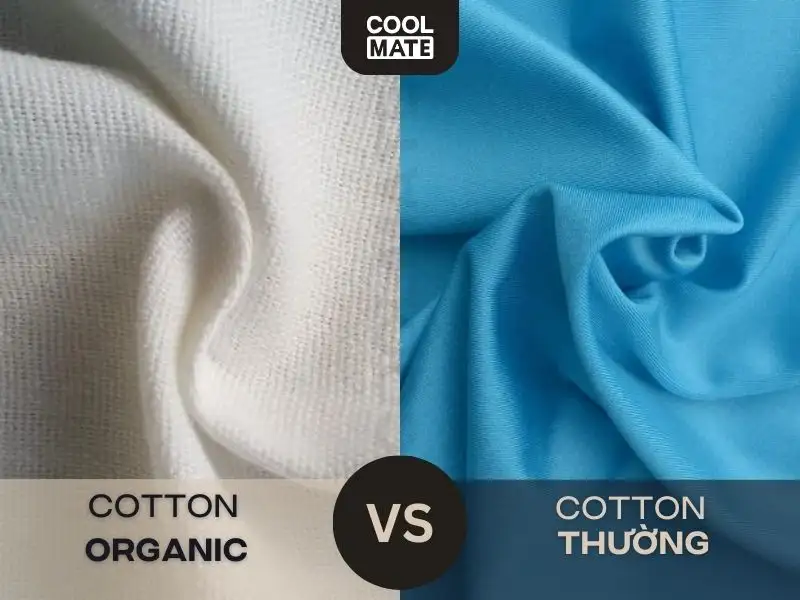 Vải cotton organic và vải cotton thường có đặc điểm gì đặc biệt?