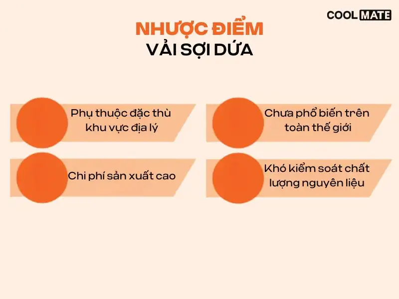 Công nghệ sản xuất vải sợi dứa vẫn còn nhiều cái mới đối với ngành dệt may