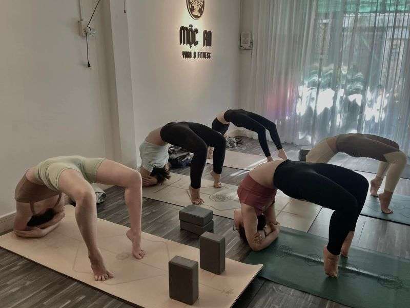 Trung tâm yoga quận 3 Mộc An