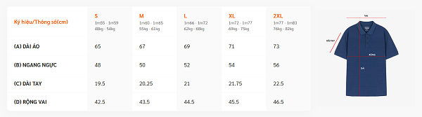 Bảng size áo chi tiết và cách chọn size áo đồng phục Coolmate