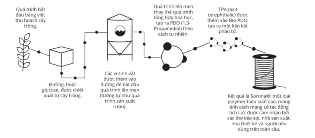 áo- sơ -mi- nam- Excool- Limited- ngắn- tay- chui- đầu