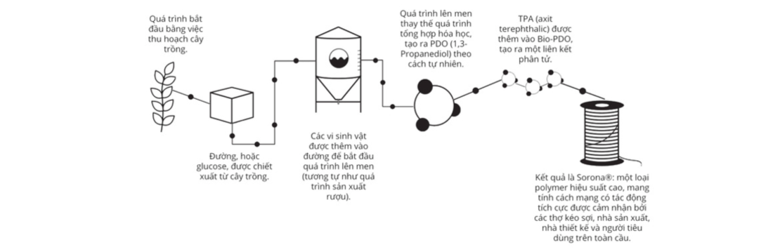 áo-thun-cổ-tròn-excool