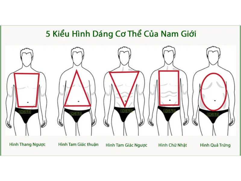 5 dáng người nam cơ bản