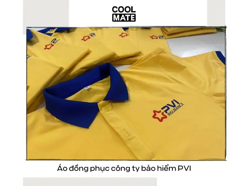 Đồng phục PVI