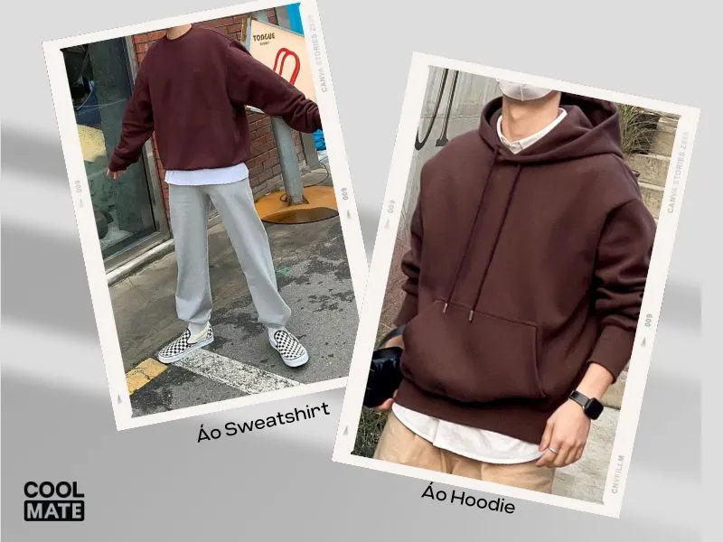 Sweater và sweatshirt sale