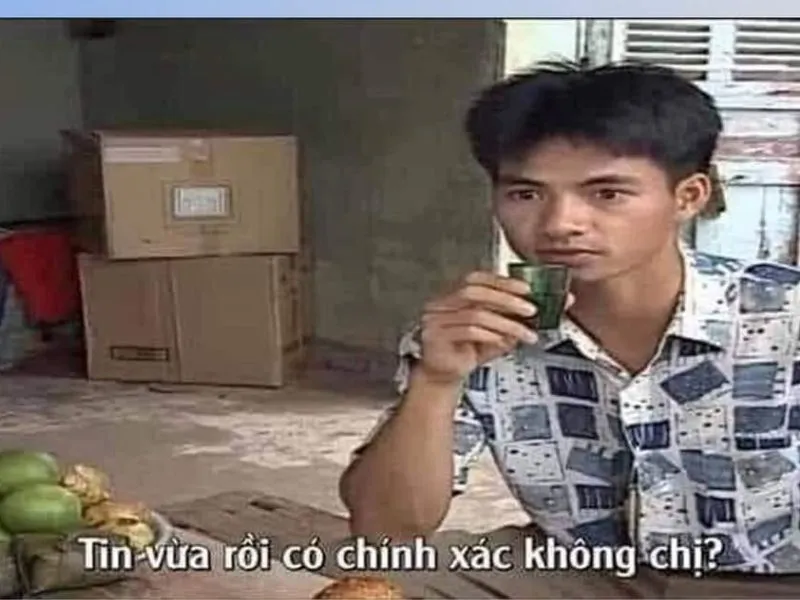 Meme 'Tin chuẩn chưa anh' với hình ảnh một con mèo