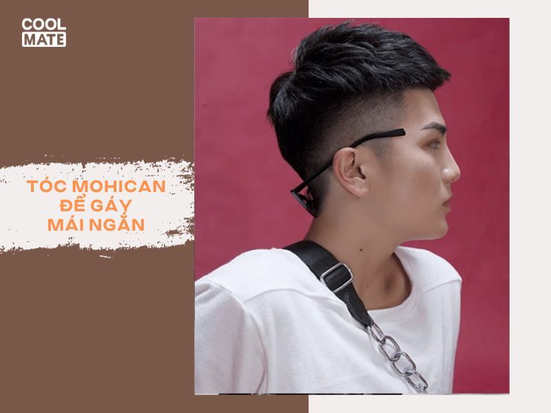 toc-mohican-de-gay-3083