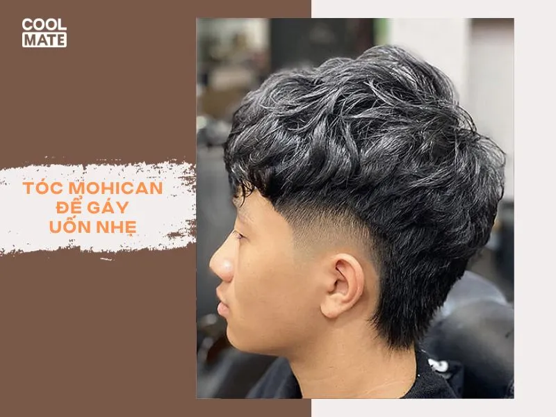 toc-mohican-de-gay-3083