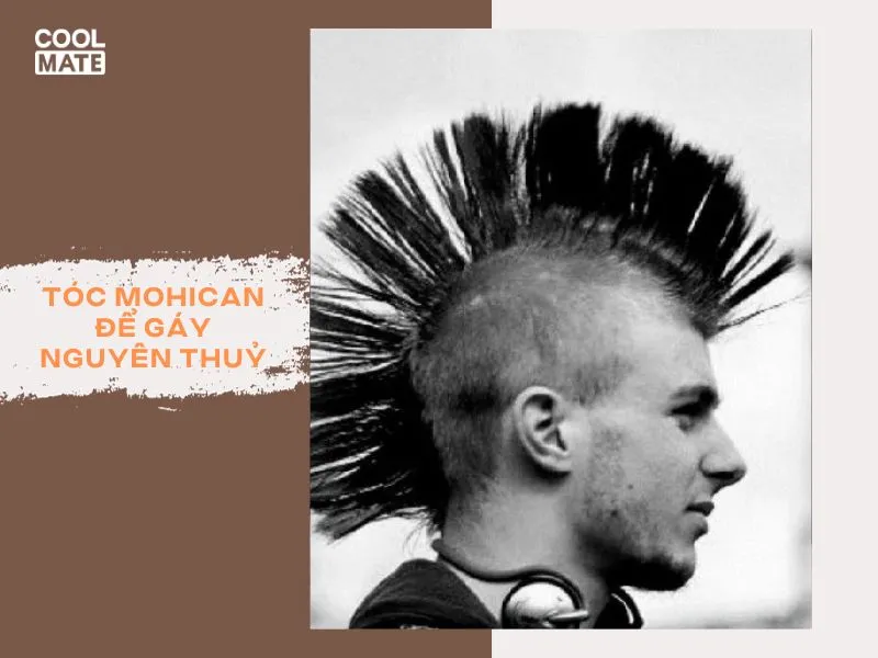 toc-mohican-de-gay-3083