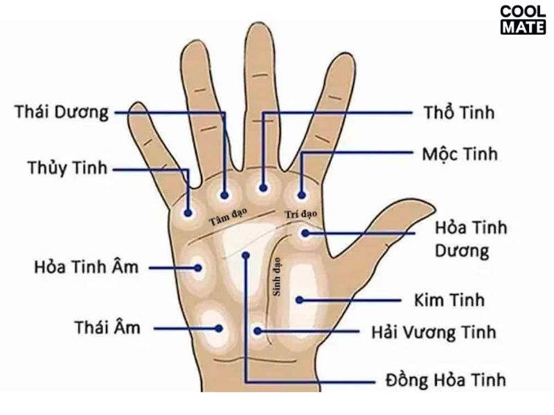 vi-tri-not-ruoi-trong-long-ban-tay-nam-2847