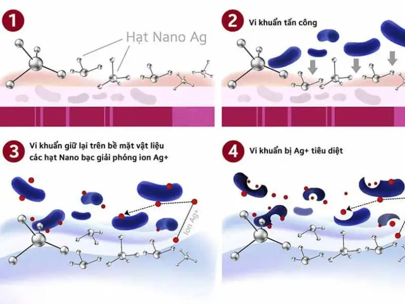 Khả năng lọc khí độc, vi khuẩn và chất hại