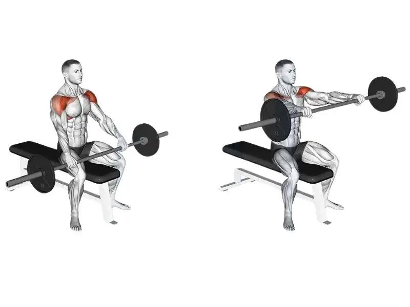 Tư thế tập Seated Barbell Curl