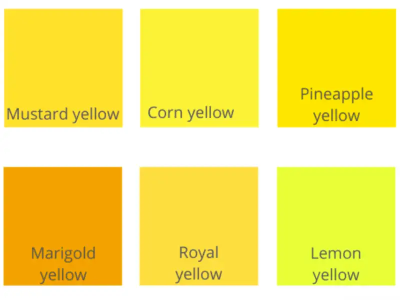Các tông màu vàng nổi bật có thể bạn đã biết 