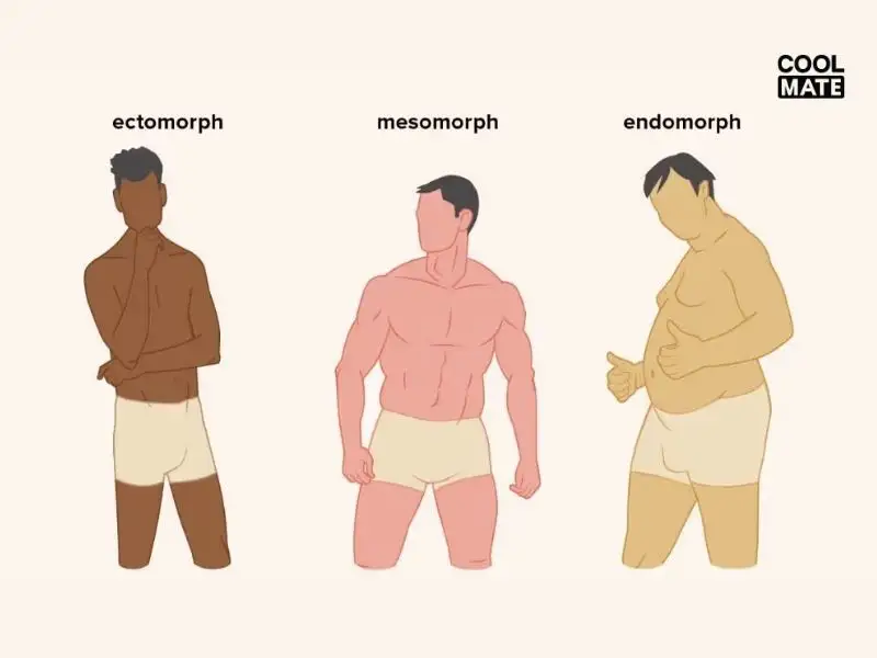 đặc điểm của người tạng Endomorph 