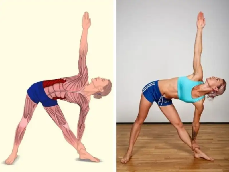 Twisting Yoga hỗ trợ tăng tuần hoàn máu