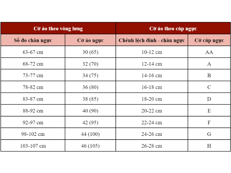 Bảng Size Áo Ngực Chuẩn Cho Mọi Vòng 1