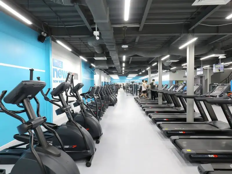 The New Gym