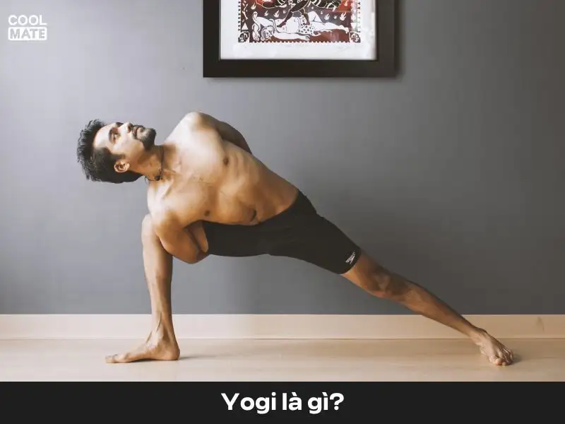 Yogi là khái niệm của những người nam theo đuổi Yoga một cách nghiêm túc