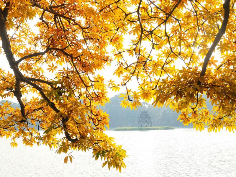 Chụp ảnh mùa thu Hà Nội ở đâu đẹp?
