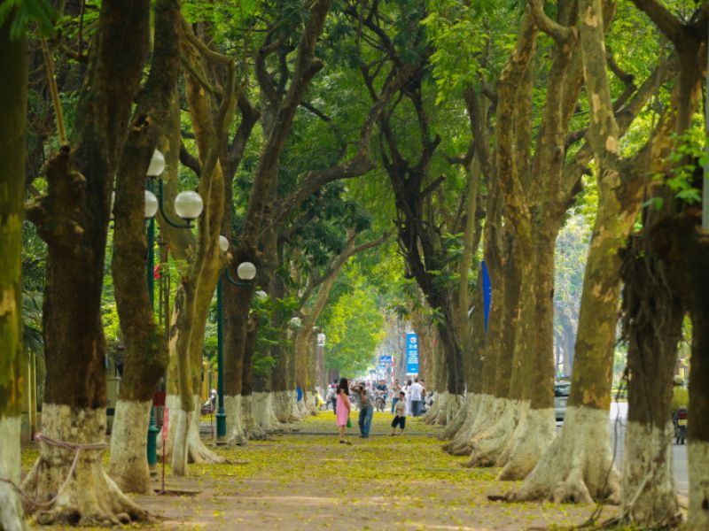 Đây là một trong những con phố đẹp nhất Hà Nội