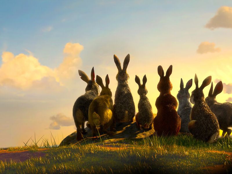 “Đồi Thỏ" là bộ phim hoạt hình kinh dị không dành cho trẻ em