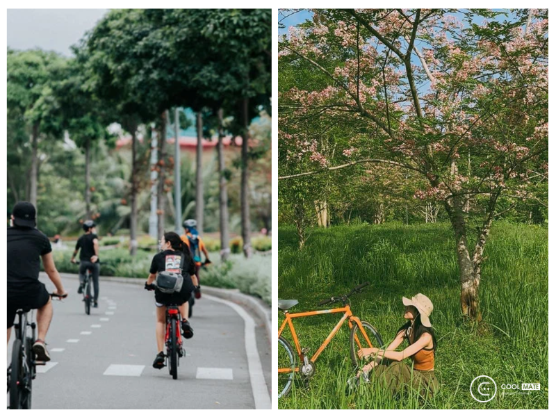Đạp xe giúp bạn tự do khám phá thành phố và là một trong những hoạt động chữa lành Sài Gòn hiệu quả nhất