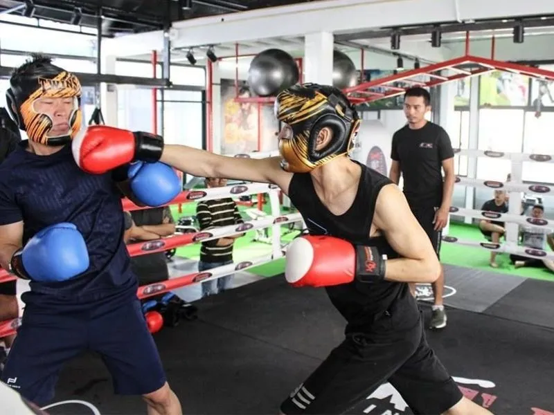 hoc-boxing-2773